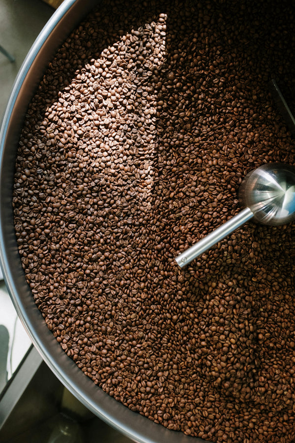 The Reader’s Guide to Coffee Roasts